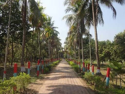 হর্টিকালচার সেন্টার, বান্দরবান: ছবি ৩