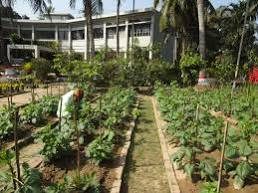 হর্টিকালচার সেন্টার, বান্দরবান: ছবি ৬