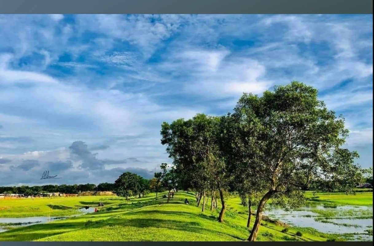 MP Tila: ছবি ৬