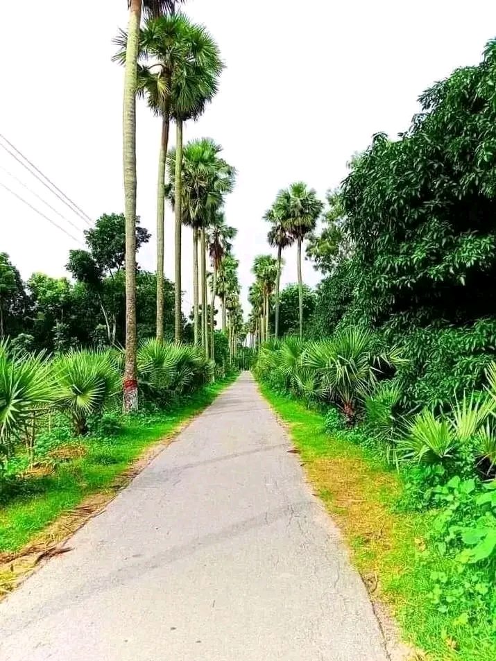 ডিসি ইকো পার্ক, শিবনগর: ছবি ৩
