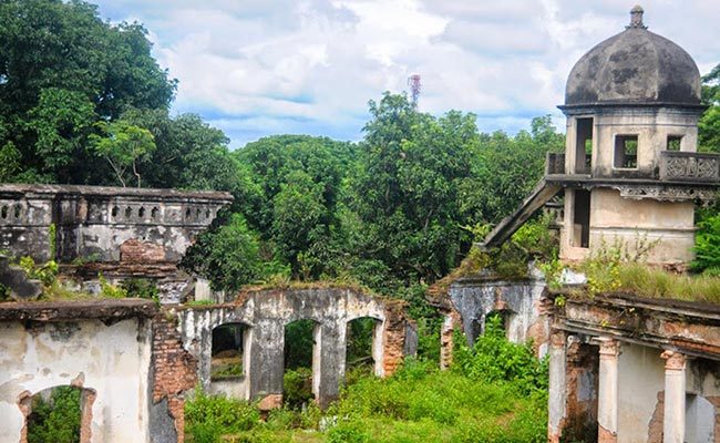 দুবলহাটি রাজবাড়ী: ছবি ৮