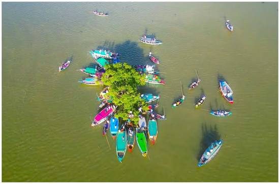 বাসুলিয়া: ছবি ৩