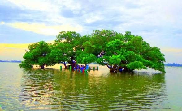 বাসুলিয়া: ছবি ৬
