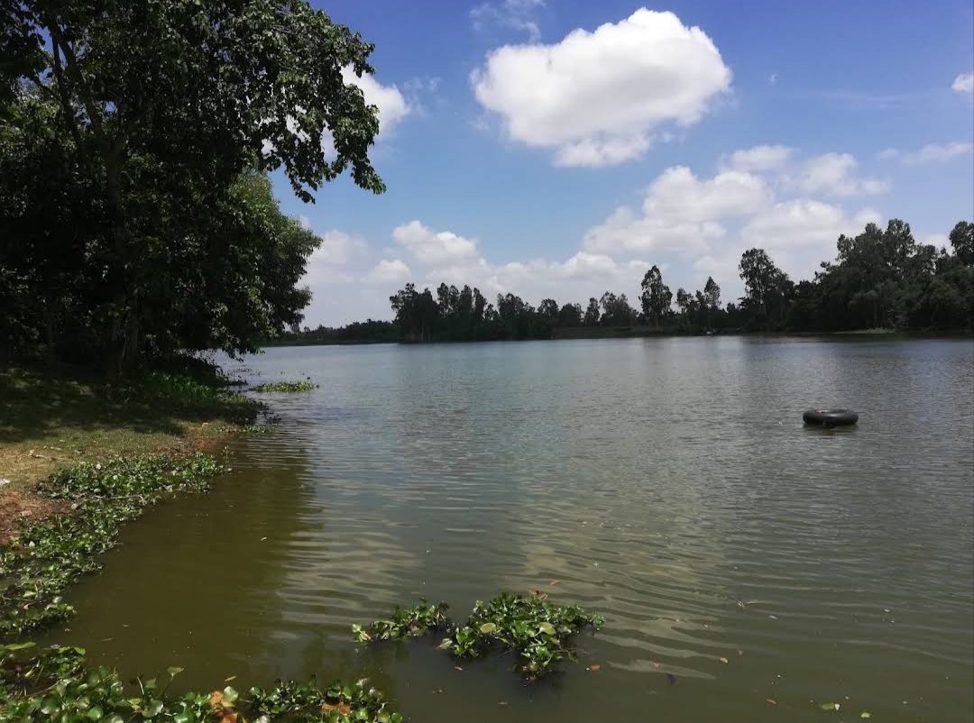 নীল দরিয়া: ছবি ২