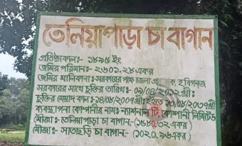 তেলিয়াপাড়া মুক্তিযোদ্ধা চত্বর: ছবি ৩