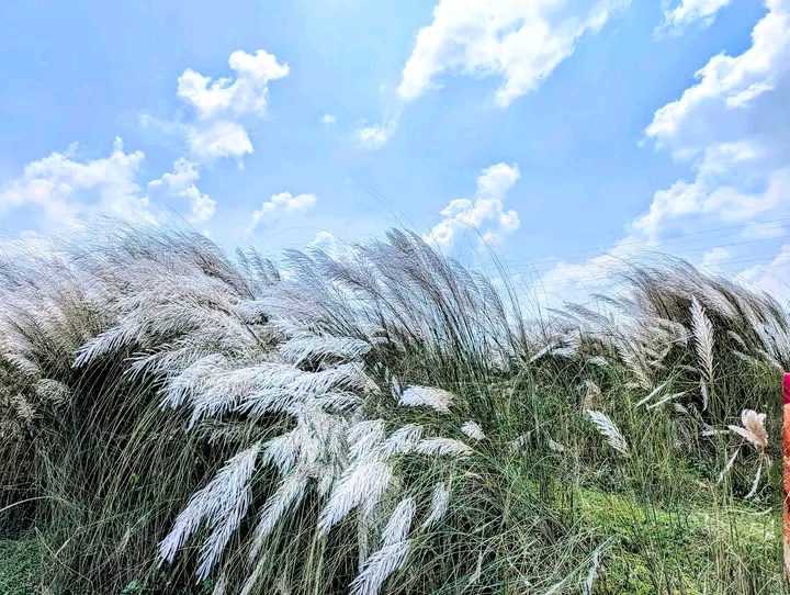 মহিপুর তিস্তা ব্রিজ,  রংপুর: ছবি ৪