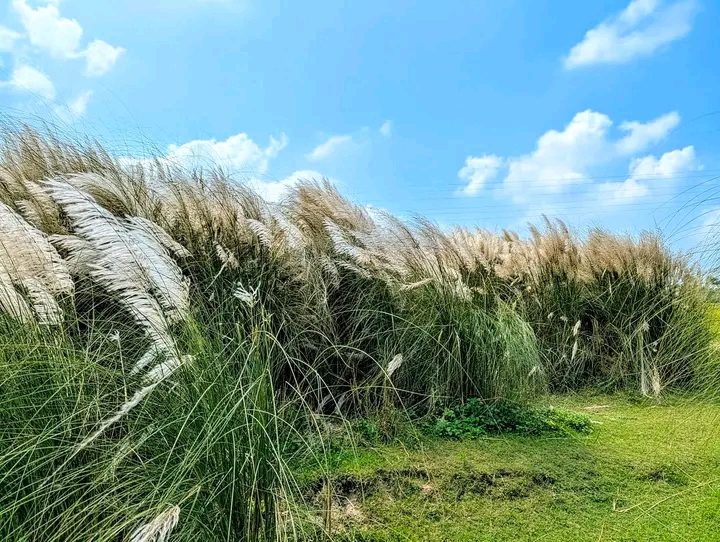 মহিপুর তিস্তা ব্রিজ,  রংপুর: ছবি ৬