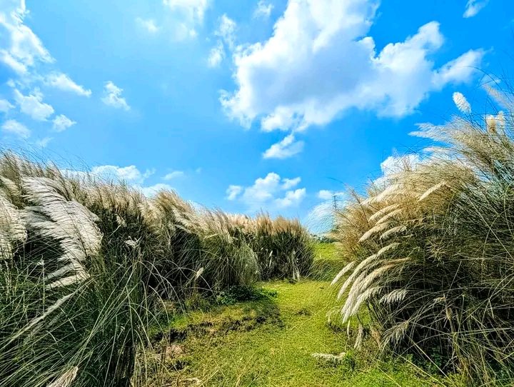 মহিপুর তিস্তা ব্রিজ,  রংপুর: ছবি ৭