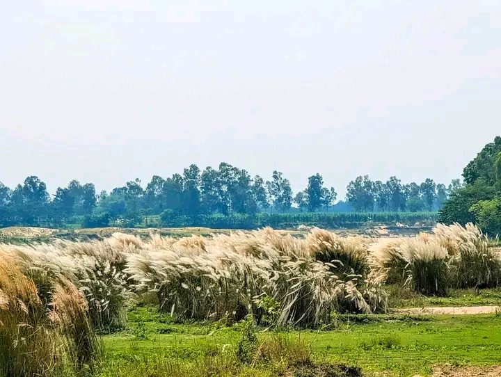 মহিপুর তিস্তা ব্রিজ,  রংপুর: ছবি ৮