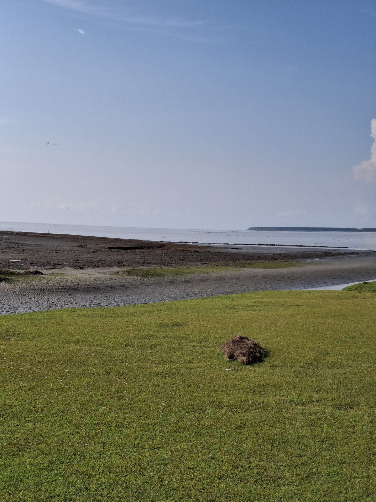 মায়াবী সি বীজ: ছবি ৪