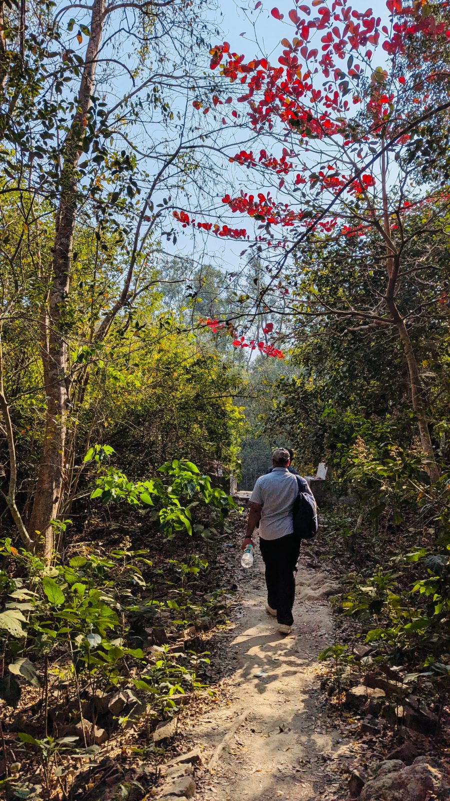 হরিণঘাটা ইকো পার্ক এন্ড সি বিচ: ছবি ৩