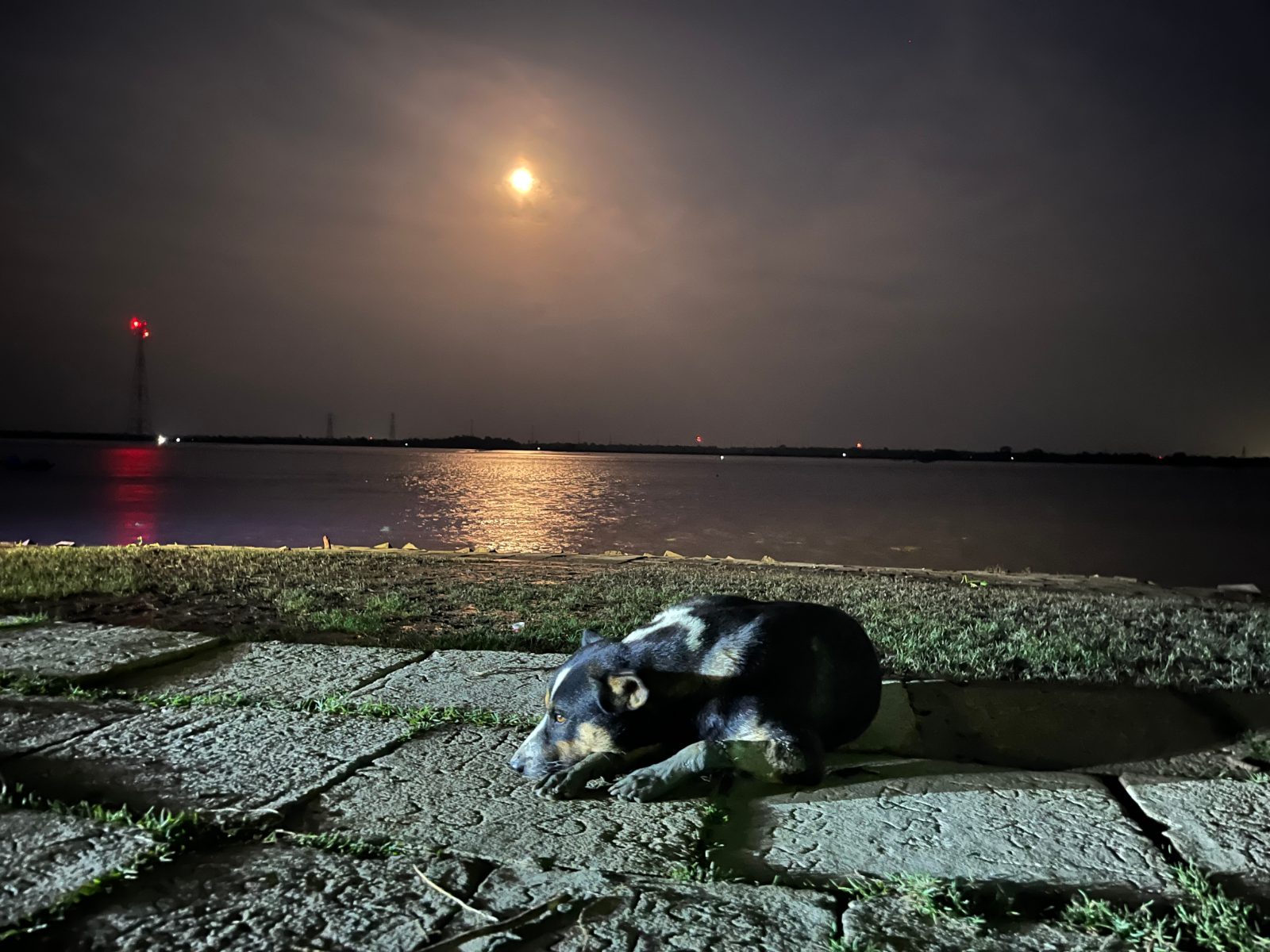 পুরানো খেয়াঘাট - কোচুবুনিয়া।: ছবি ৪