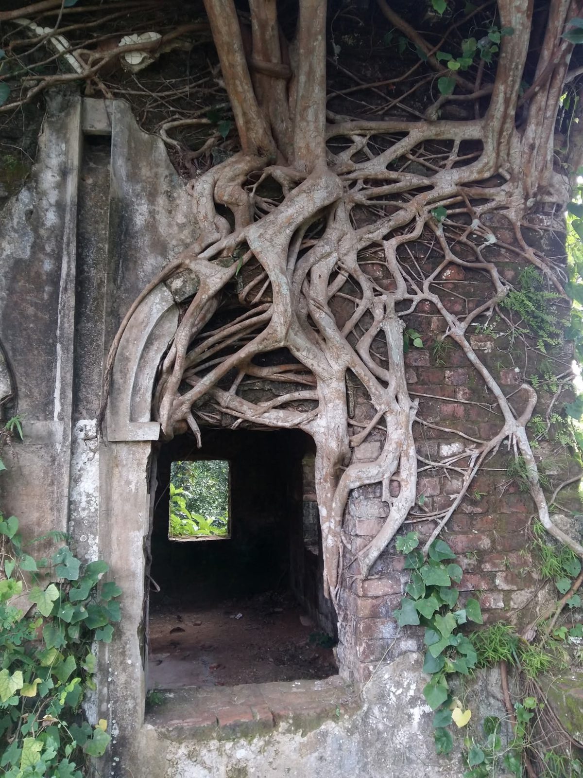 প্রতাপপুর বড় বাড়ী: ছবি ৭