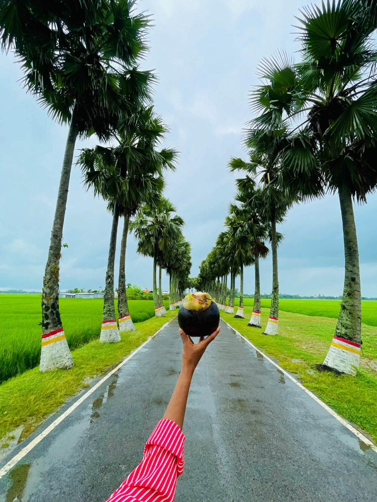 তালতলী, (ঘুঘুডাঙ্গা): ছবি ২