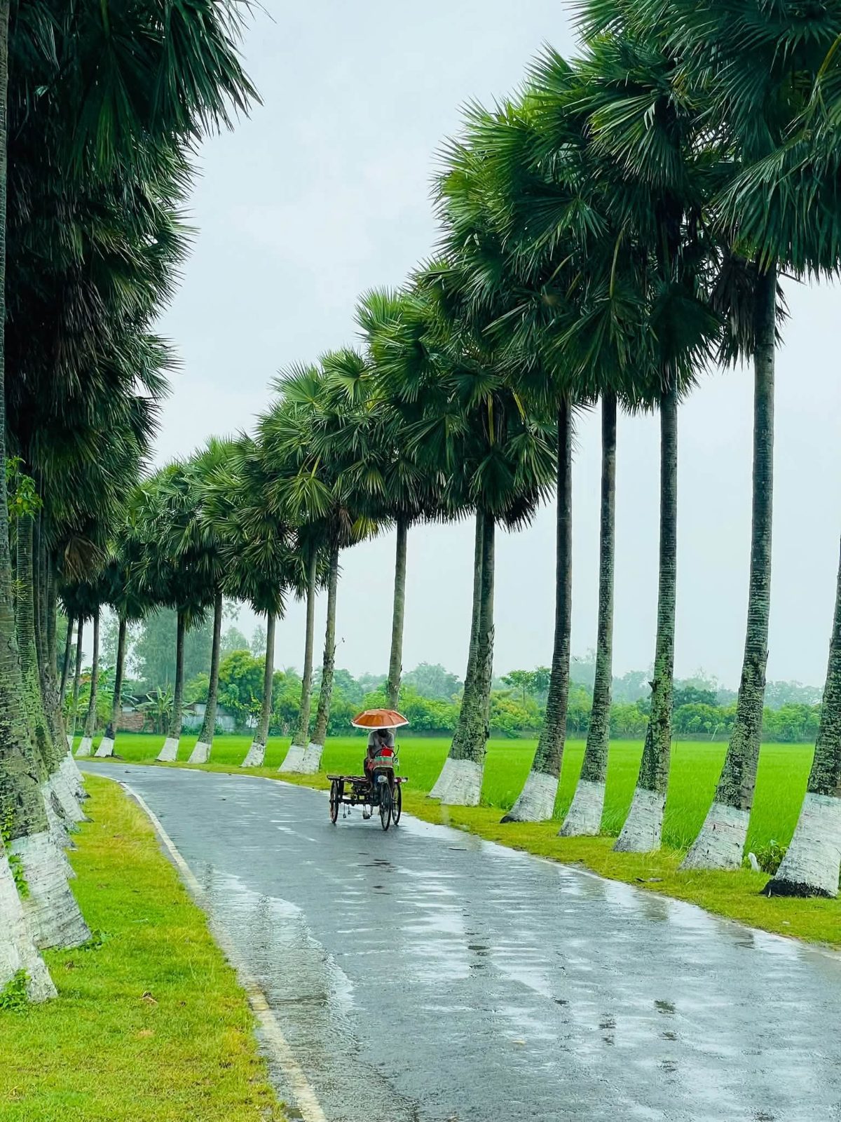 তালতলী, (ঘুঘুডাঙ্গা): ছবি ৯