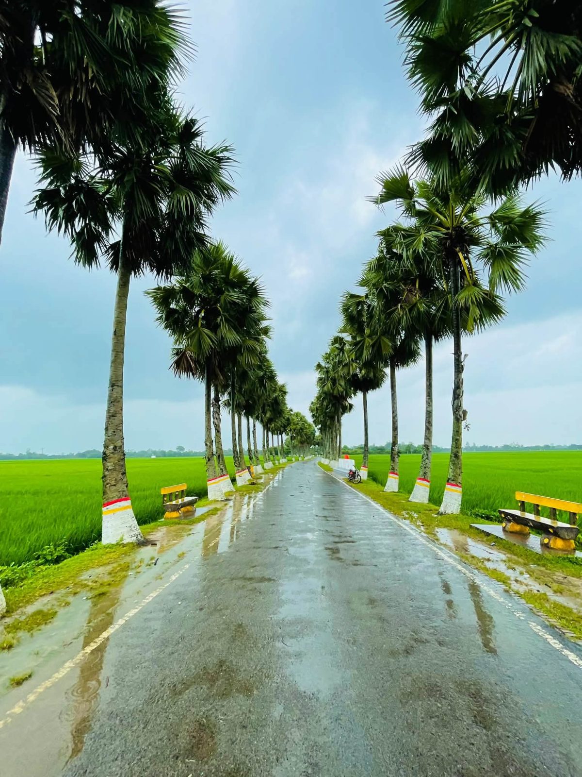 তালতলী, (ঘুঘুডাঙ্গা): ছবি ১০