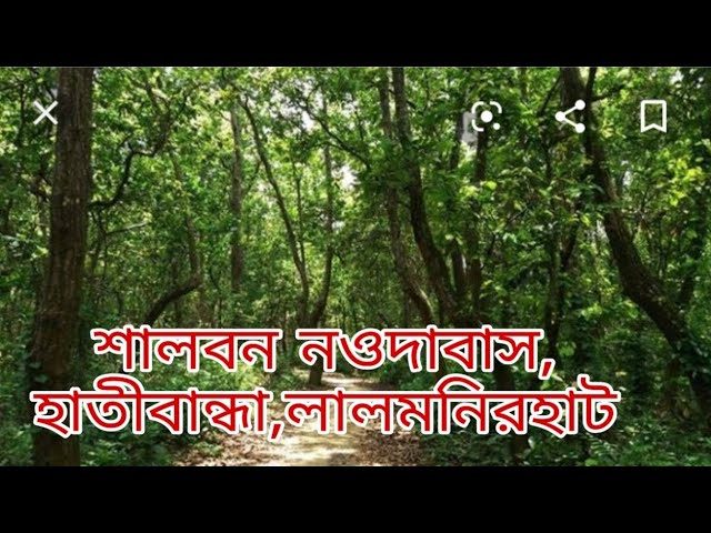 নওদাবাস শালবন: ছবি ৪