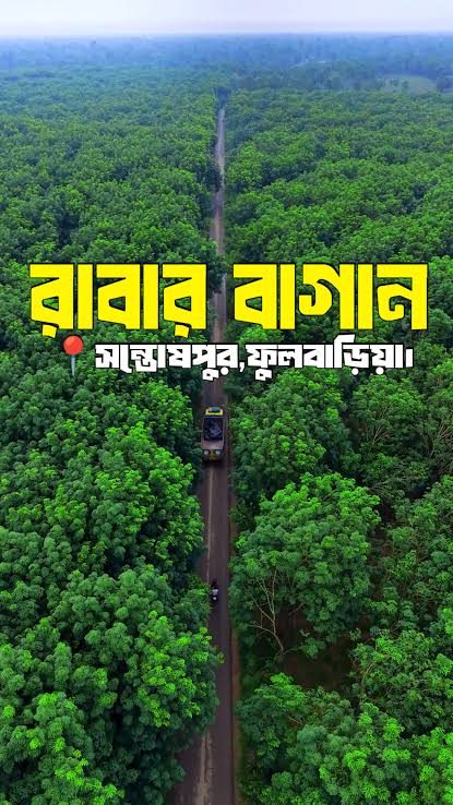 সন্তোষপুর রাবার বাগান: ছবি ৫