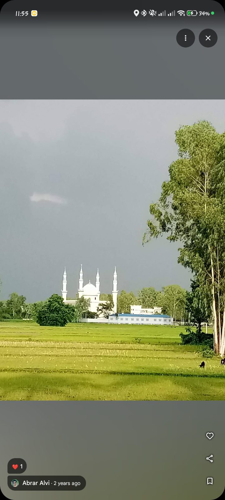 আলতাফ নগর মসজিদ ও কবর স্থান: ছবি ৬