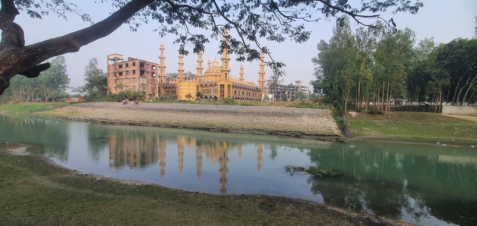 ২০১ গম্বুজ মসজিদ গোপালপুর: ছবি ৩