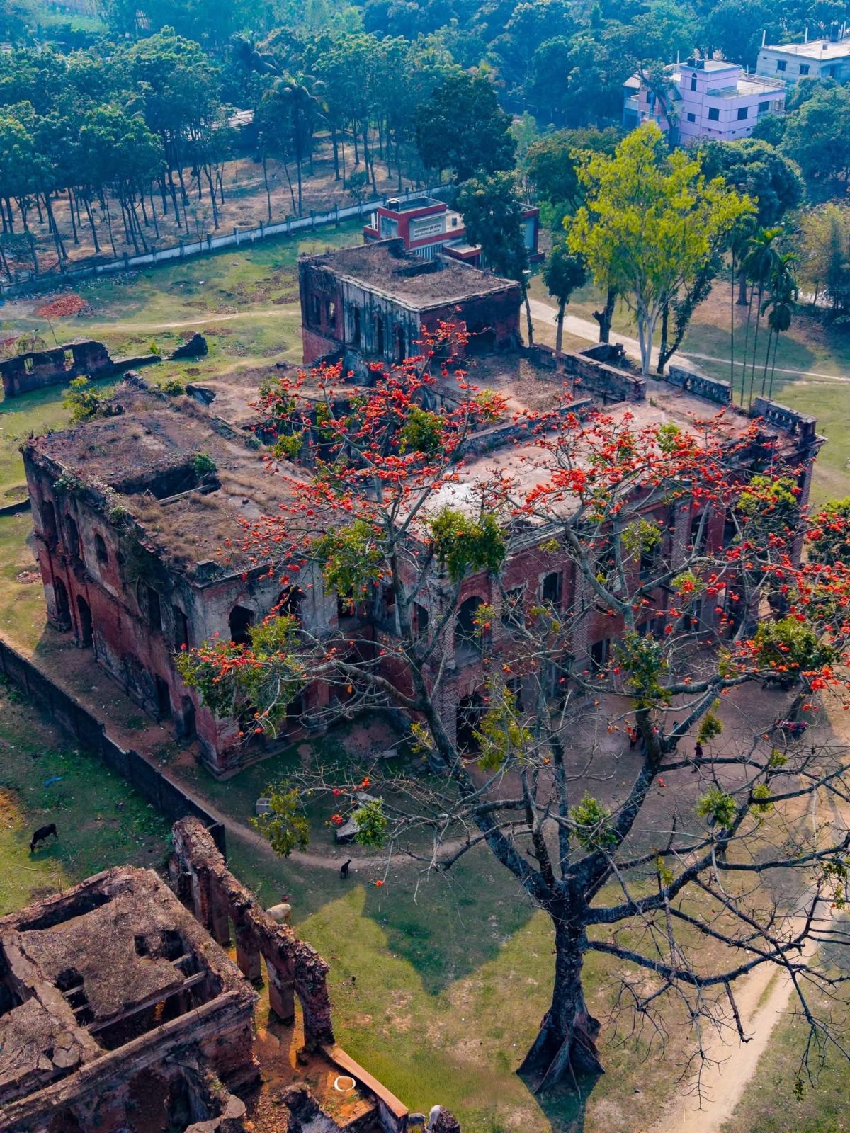 রাজা টংকনাথের রাজবাড়ী (রাণীশংকৈল রাজবাড়ী), রাণীশংকৈল উপজেলা, বাচোর ইউনিয়ন, ঠাকুরগাঁও