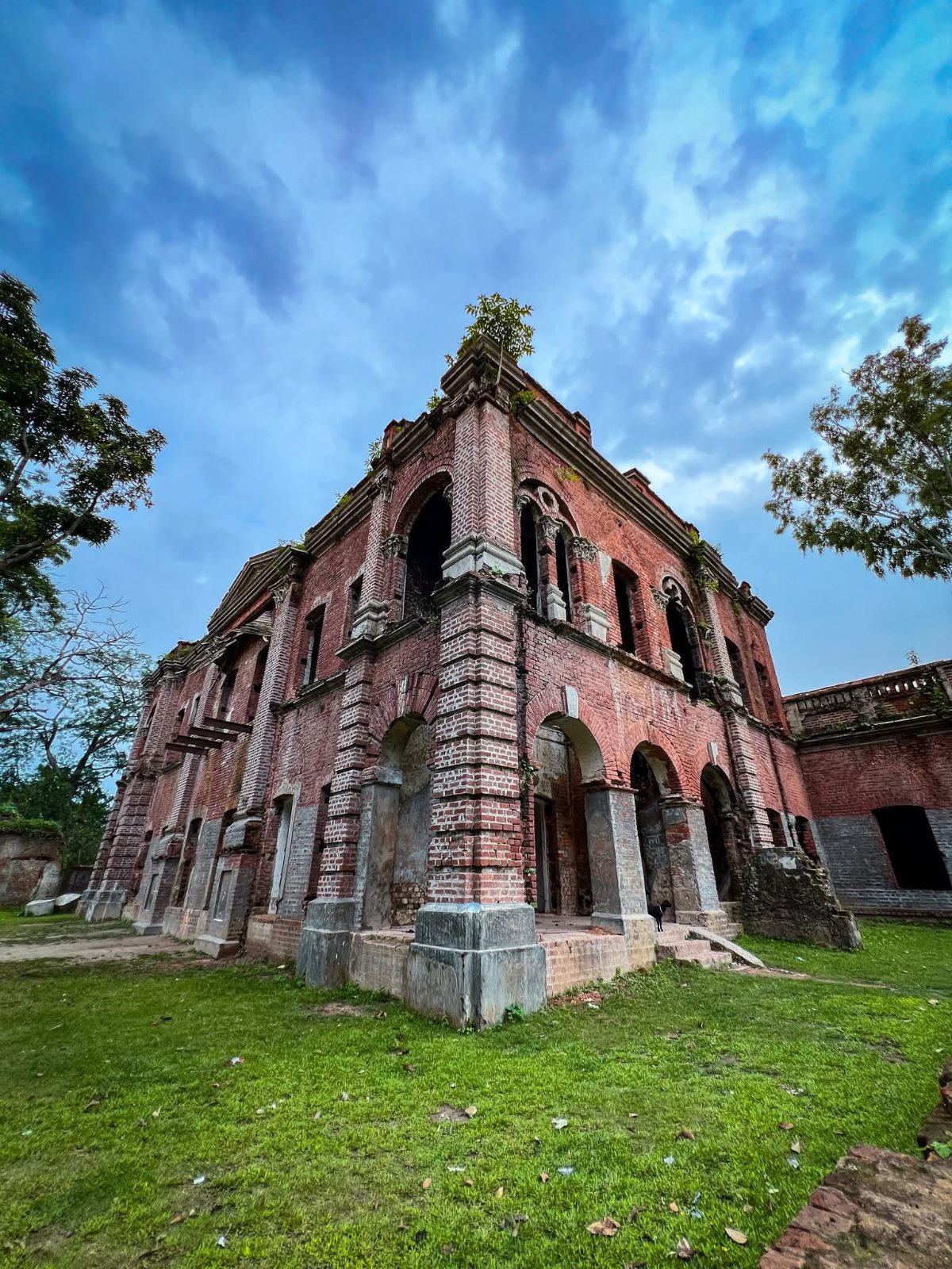 রাজা টংকনাথের রাজবাড়ী (রাণীশংকৈল রাজবাড়ী): ছবি ২