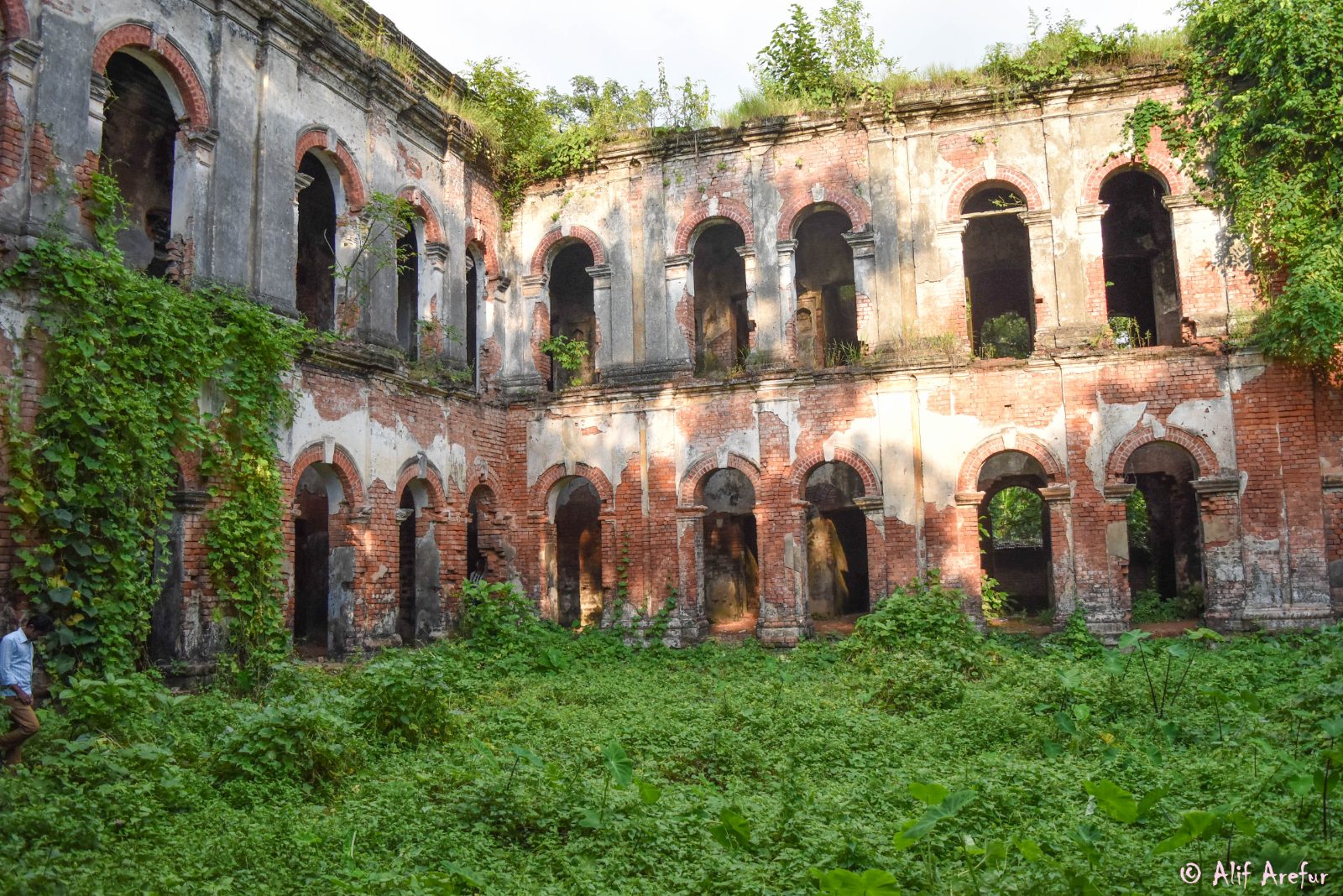 রাজা টংকনাথের রাজবাড়ী (রাণীশংকৈল রাজবাড়ী): ছবি ৩