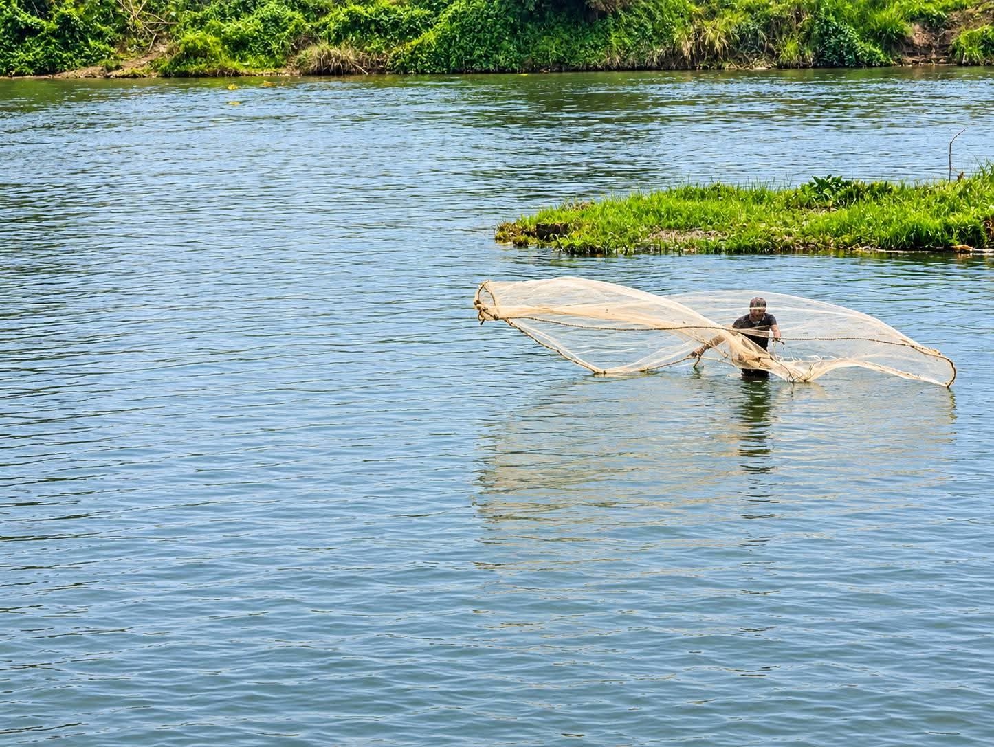 সাগুনী শালবন: ছবি ৬