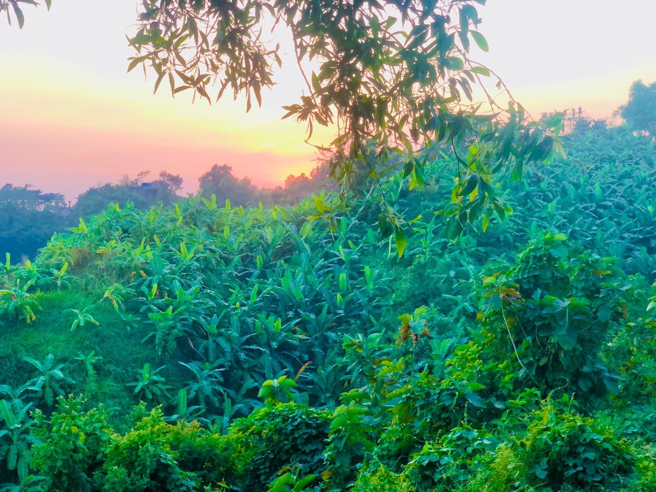 মিরিঞ্জা ভ্যালি (Mirinja Valley): ছবি ৪
