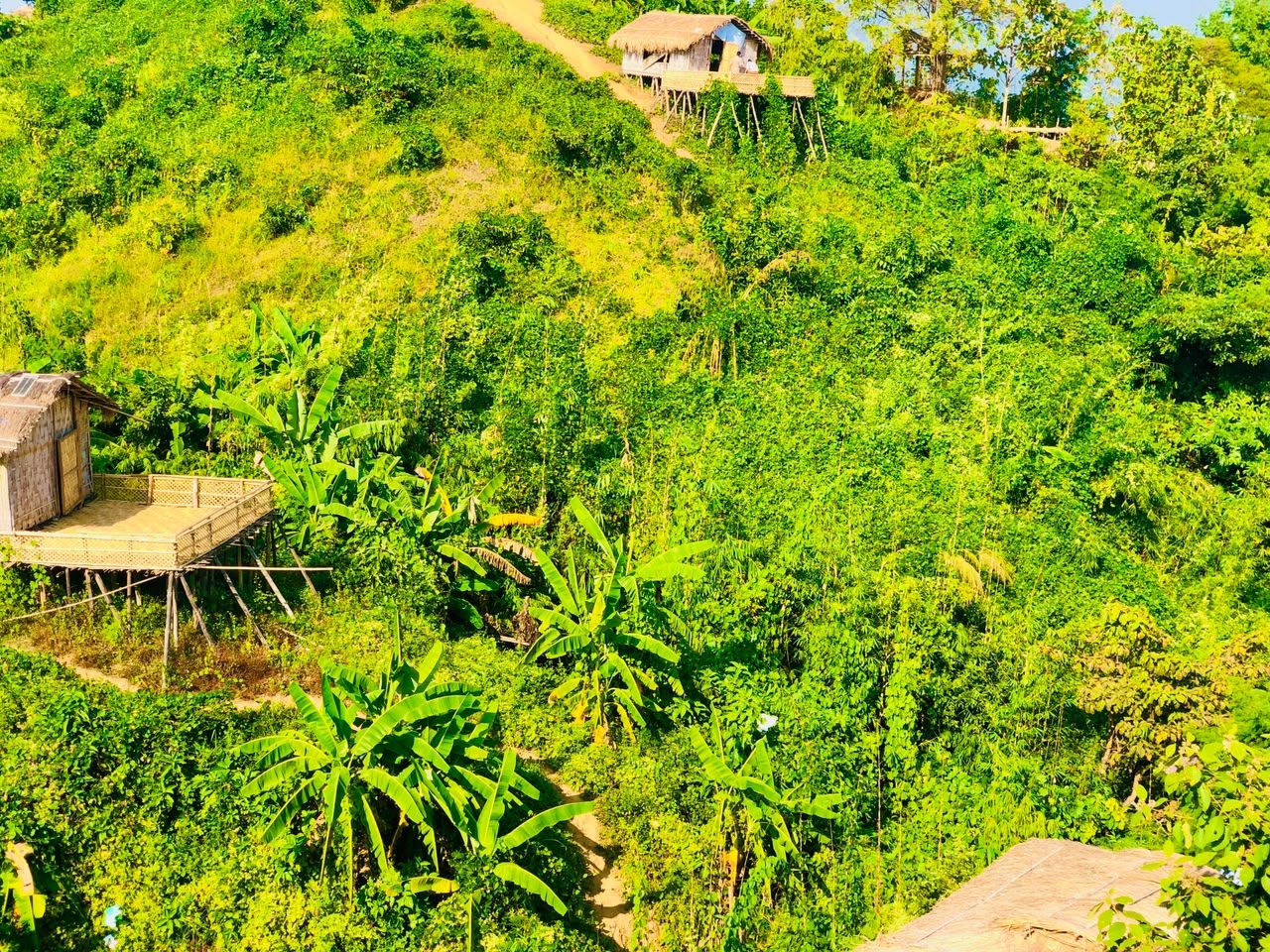 মিরিঞ্জা ভ্যালি (Mirinja Valley): ছবি ৭
