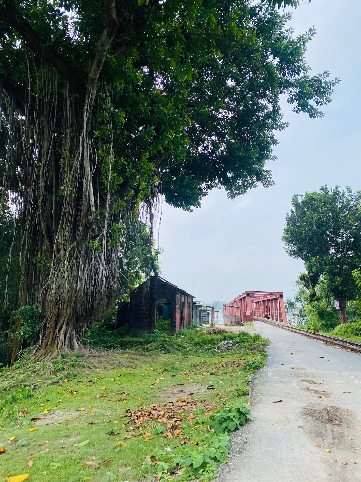 তিস্তা রেলওয়ে ব্রিজ, কাউনিয়া ও লালমনিরহাট সদর উপজেলার মাঝে, রংপুর