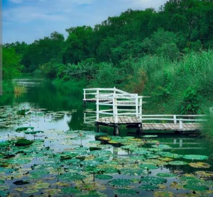 সুরঞ্জনা ইকো ট্যুরিজম: ছবি ৮