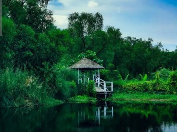 সুরঞ্জনা ইকো ট্যুরিজম: ছবি ৯