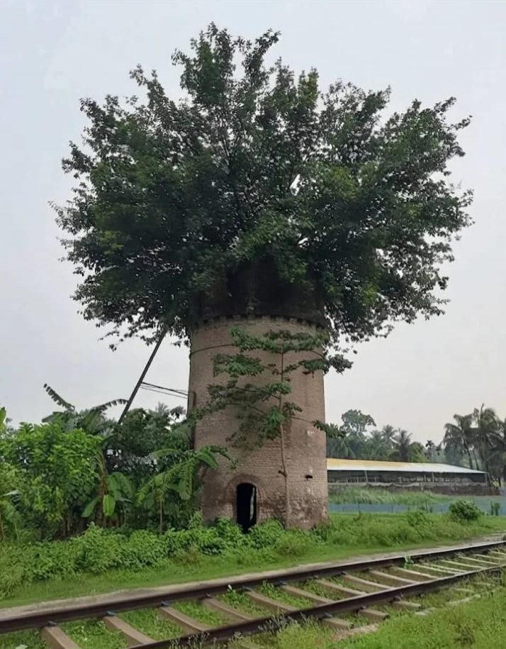 জগতি রেলস্টেশ কুষ্টিয়া: ছবি ৬
