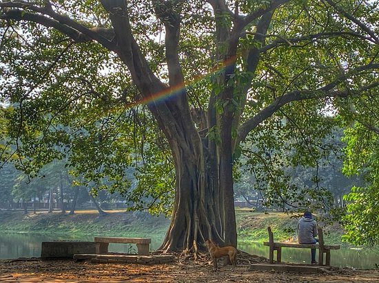 রমনা পার্ক: ছবি ২