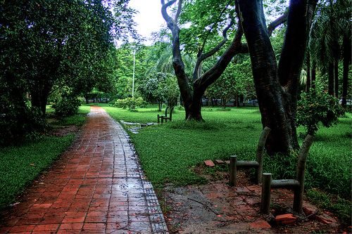 রমনা পার্ক: ছবি ৭