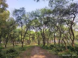 ধারাবর্ষা চর বা মিনি কক্সবাজার, সারিয়াকান্দি, বগুড়া