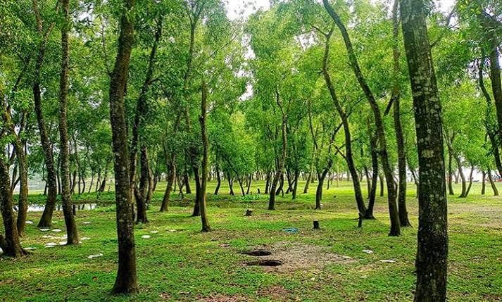 ধারাবর্ষা চর বা মিনি কক্সবাজার: ছবি ২