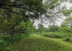 ধারাবর্ষা চর বা মিনি কক্সবাজার: ছবি ৪