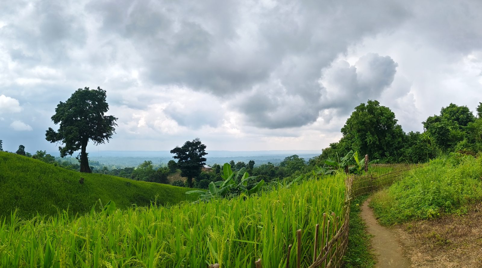 হাতি মাথা স্বর্গের সিড়ি: ছবি ৭