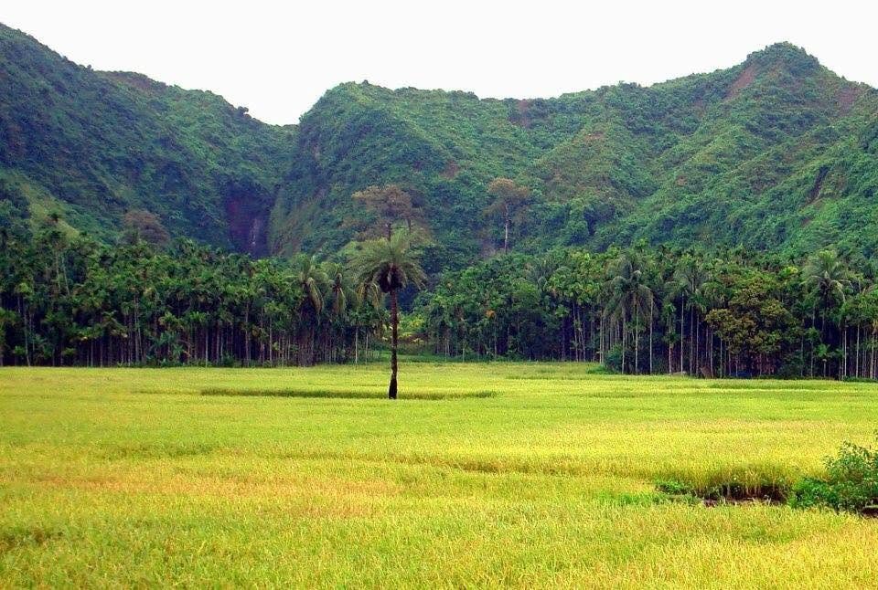 শমসের গাজীর দিঘী: ছবি ৩