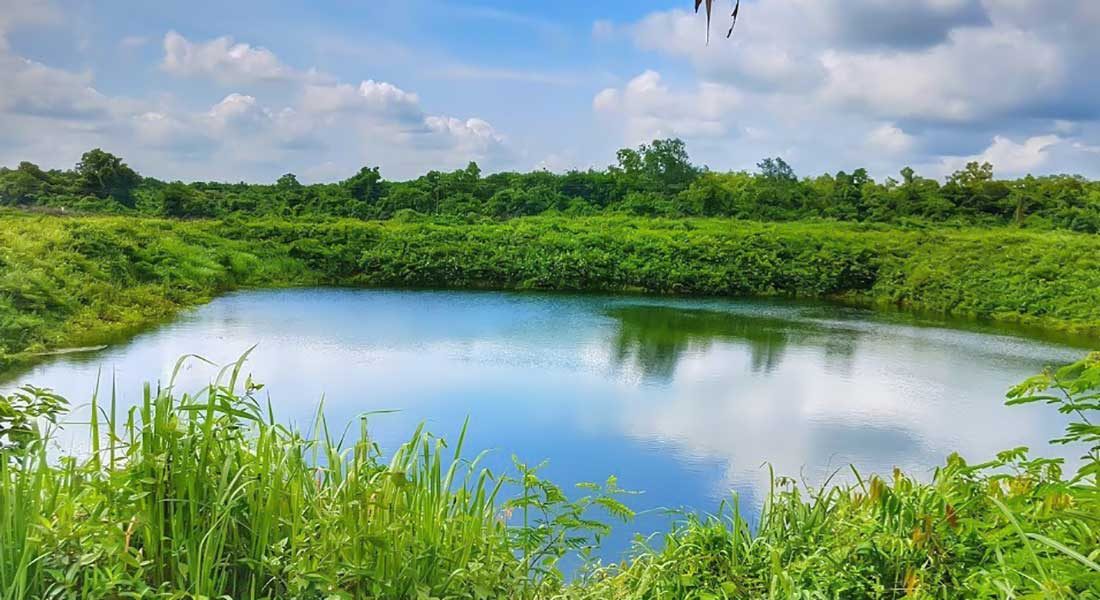 শমসের গাজীর দিঘী: ছবি ৬