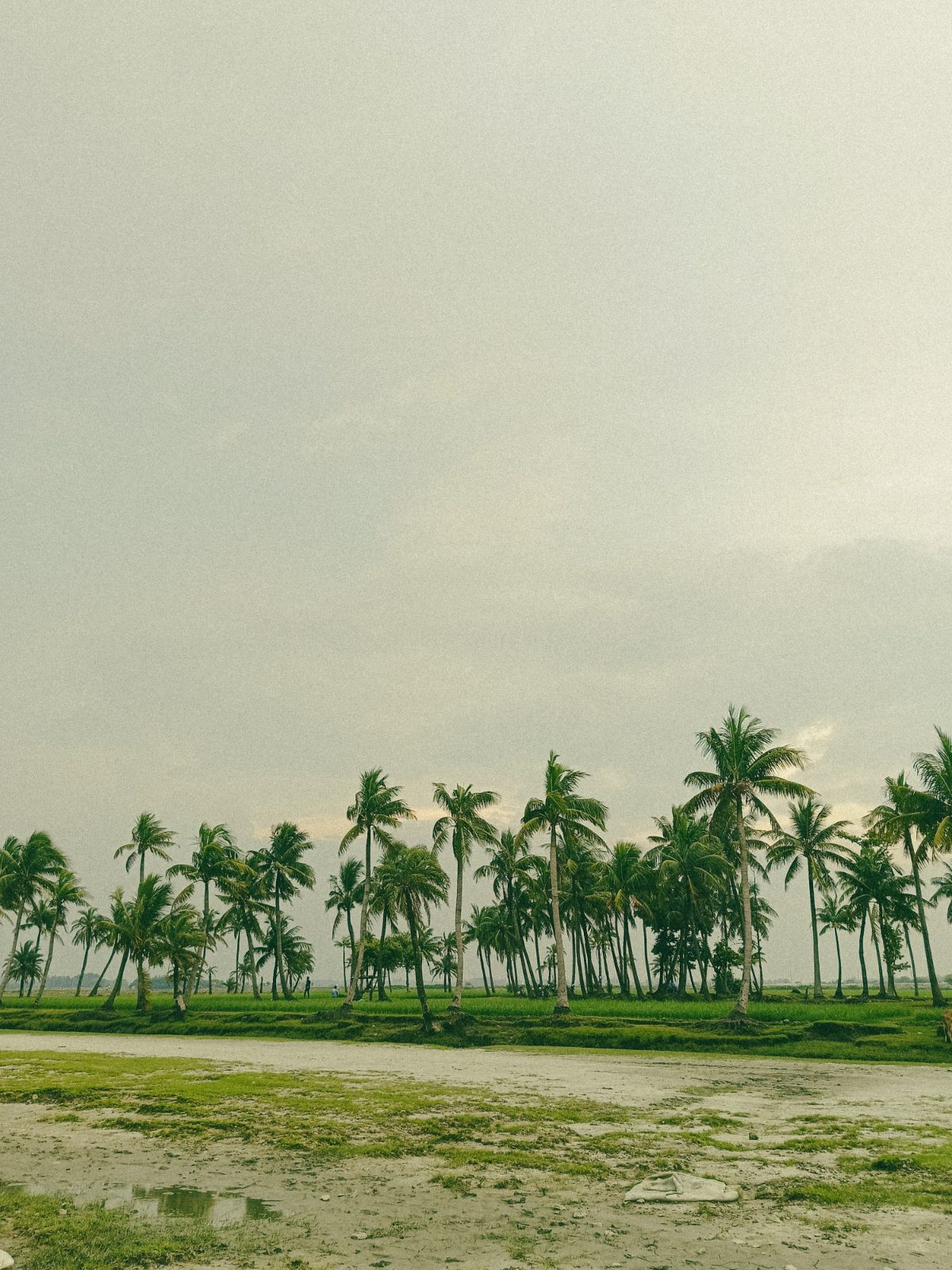 মুছাপুর ক্লোজার ও গুচ্ছগ্রাম: ছবি ২