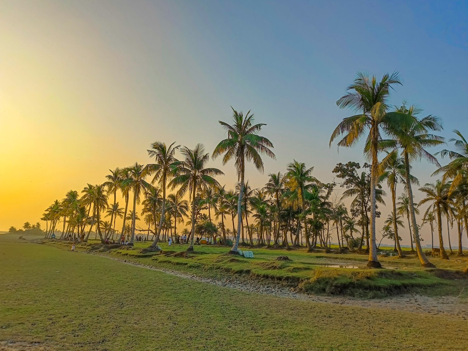 মুছাপুর ক্লোজার ও গুচ্ছগ্রাম: ছবি ৩