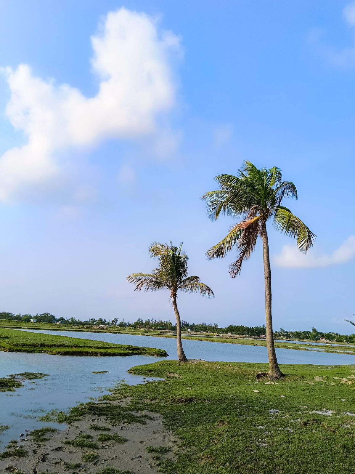 মুছাপুর ক্লোজার ও গুচ্ছগ্রাম: ছবি ৫