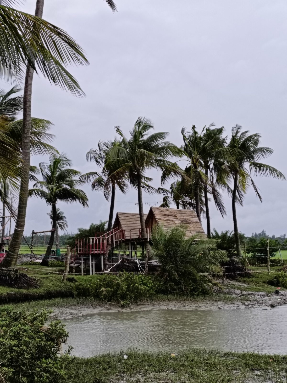 মুছাপুর ক্লোজার ও গুচ্ছগ্রাম: ছবি ৭