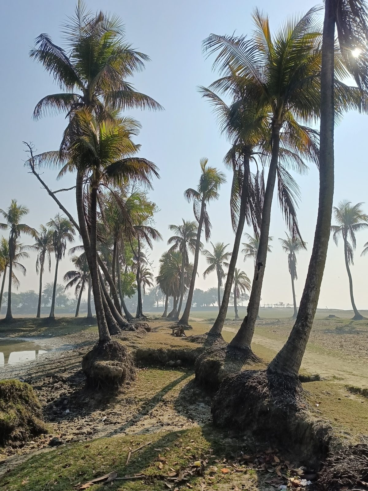 মুছাপুর ক্লোজার ও গুচ্ছগ্রাম: ছবি ৯