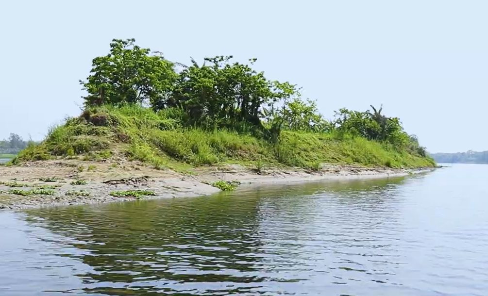 ধাঁধার চর: ছবি ২