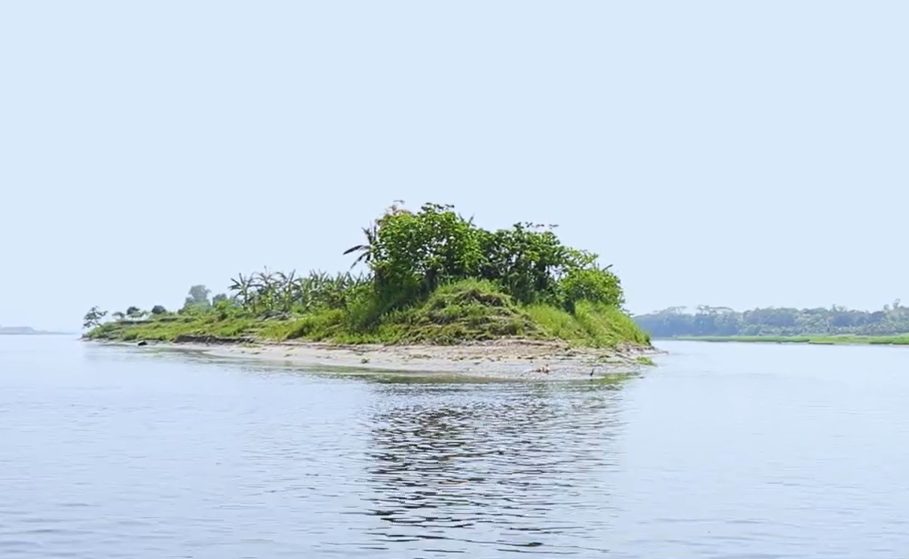 ধাঁধার চর: ছবি ৩