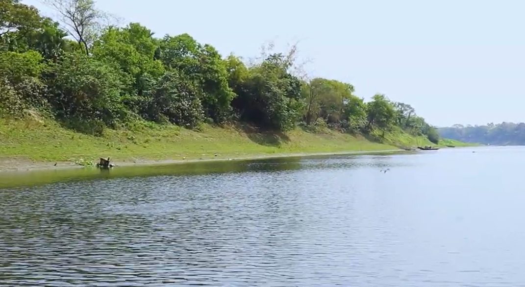 ধাঁধার চর: ছবি ৪